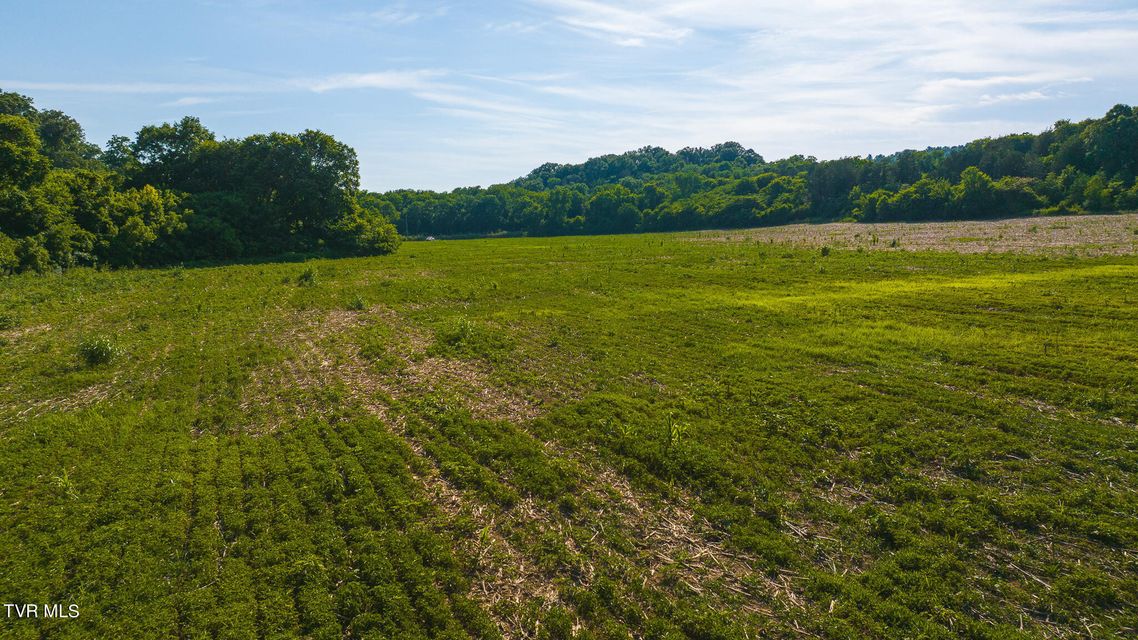 Photo #10: 14460 Warrensburg Road