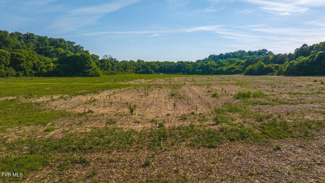 Photo #11: 14460 Warrensburg Road