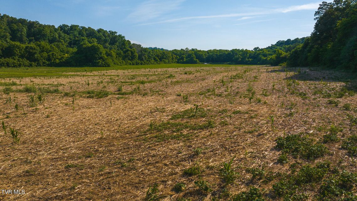 Photo #12: 14460 Warrensburg Road