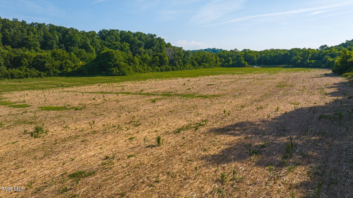 Photo #14: 14460 Warrensburg Road