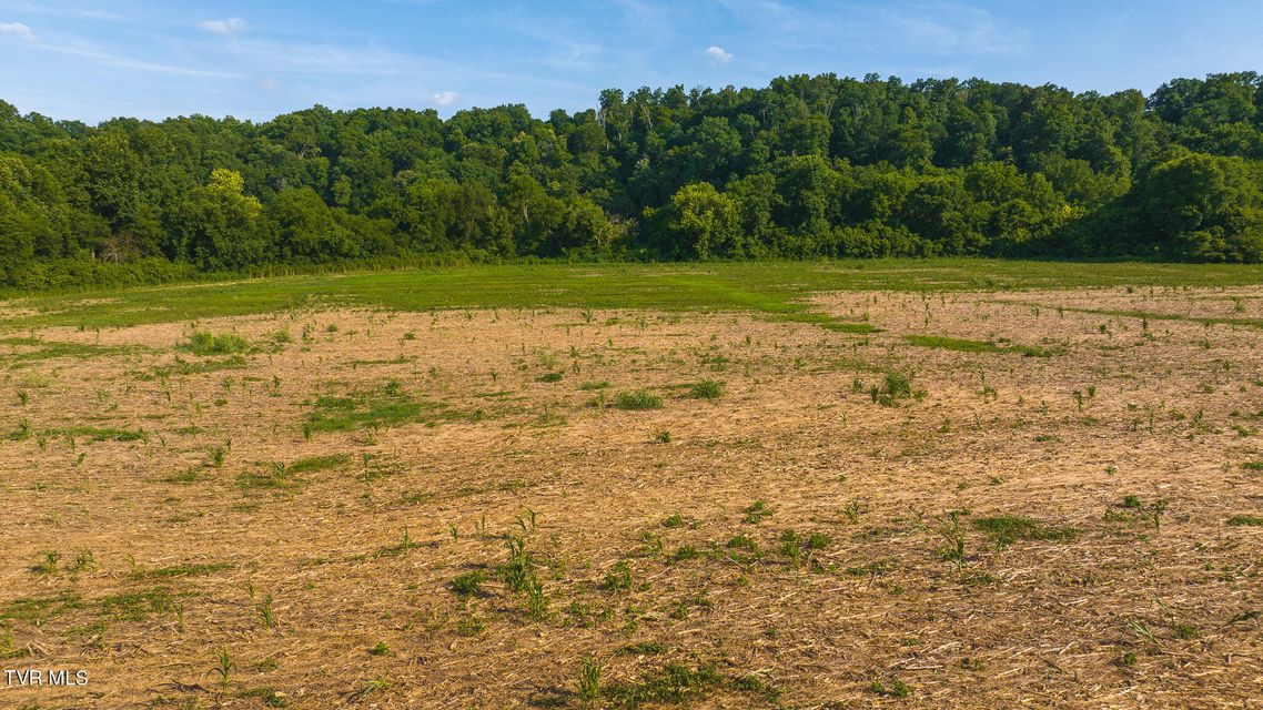 Photo #15: 14460 Warrensburg Road