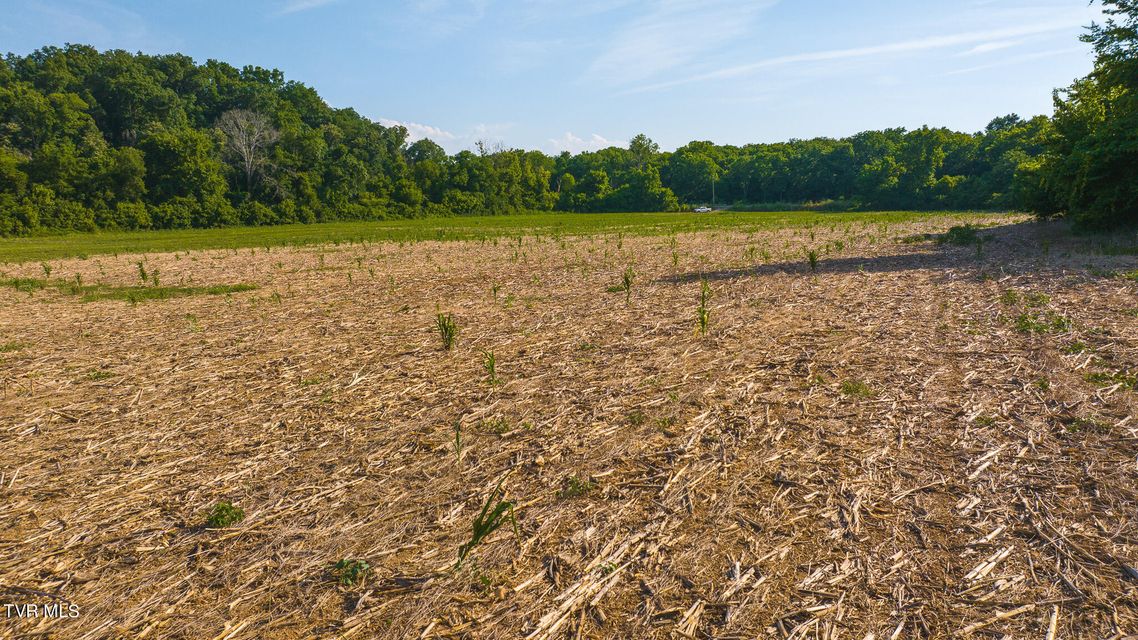 Photo #16: 14460 Warrensburg Road
