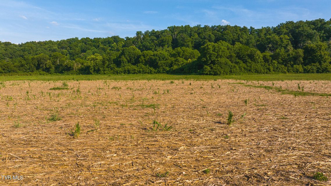 Photo #17: 14460 Warrensburg Road