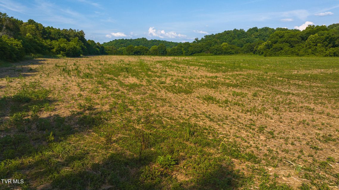 Photo #20: 14460 Warrensburg Road