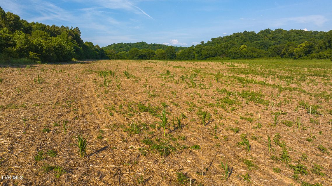 Photo #28: 14460 Warrensburg Road