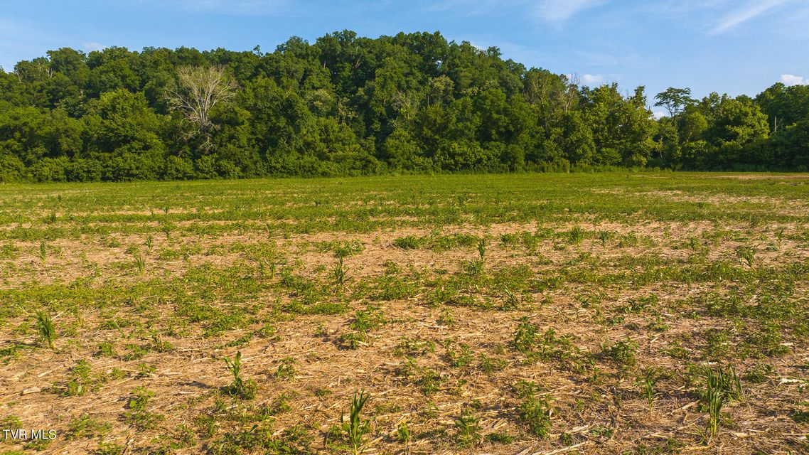 Photo #29: 14460 Warrensburg Road
