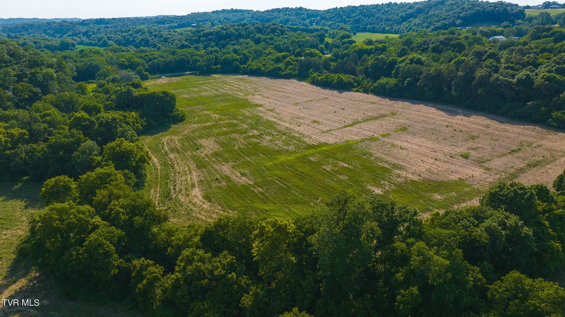 Photo #32: 14460 Warrensburg Road
