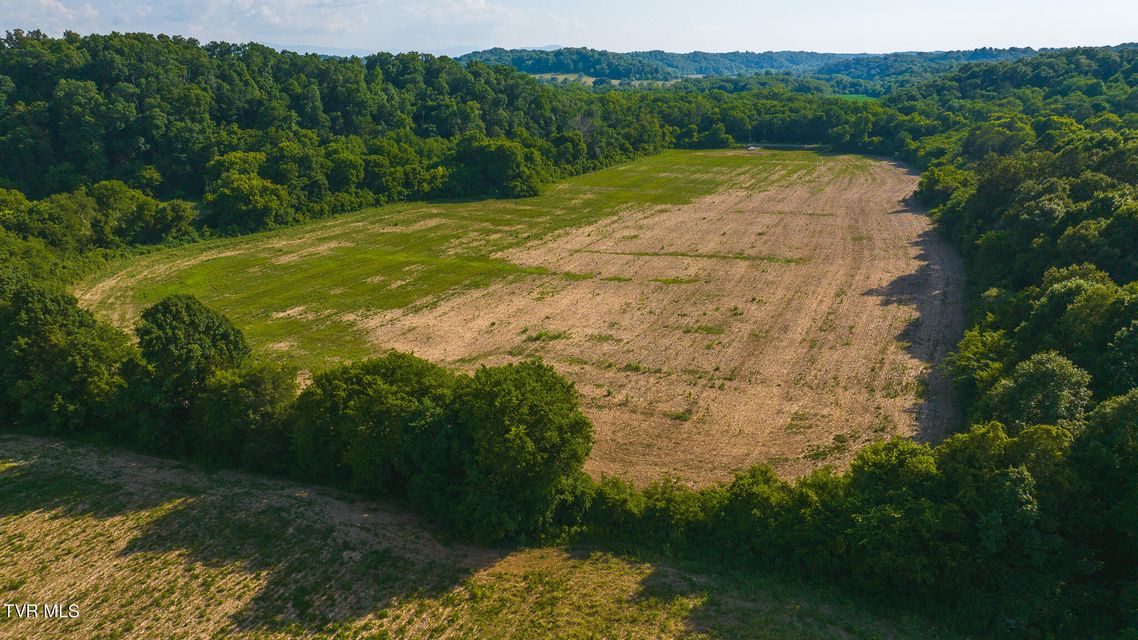 Photo #33: 14460 Warrensburg Road