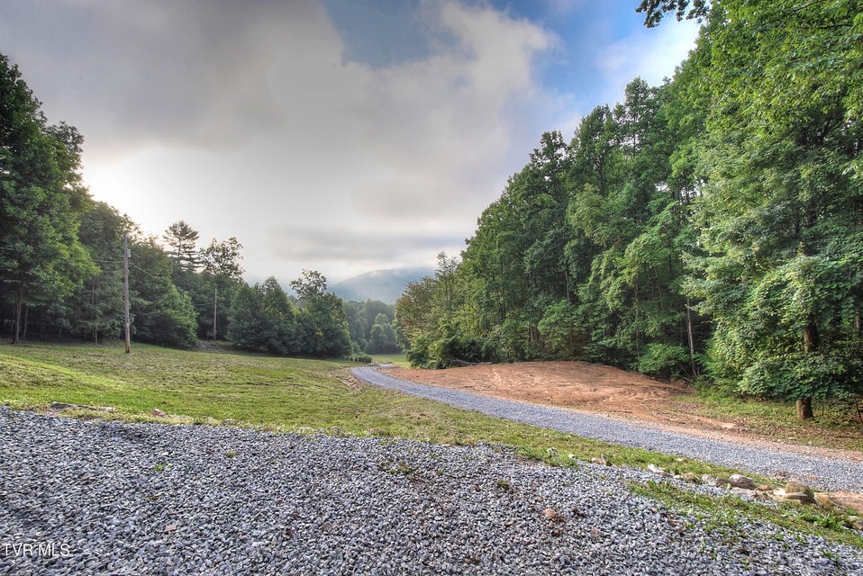 Photo #42: 231 Kaitlin Road
