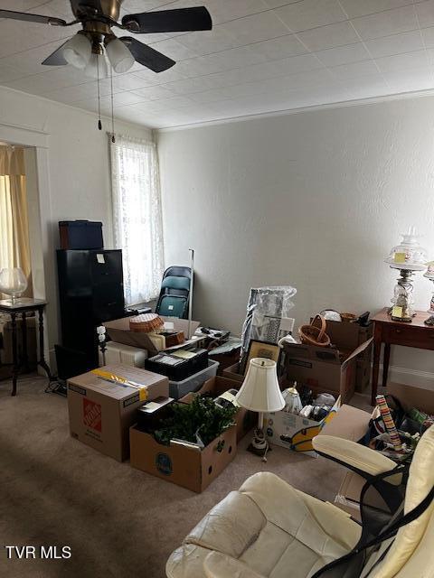 Photo #9: 210 G Street