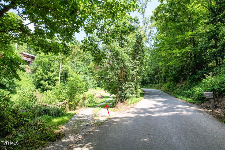 Photo #33: 1962 Fodderstack Mountain Loop