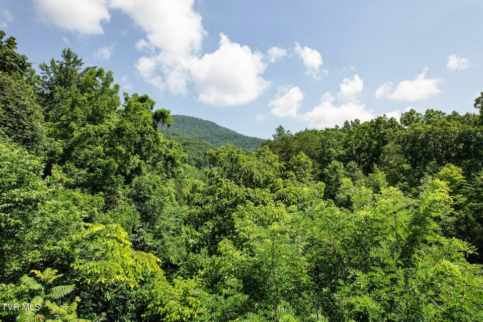 Photo #36: 1962 Fodderstack Mountain Loop
