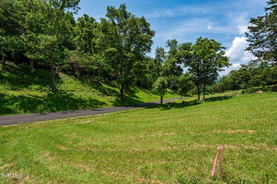 Photo #3: Lot #18 Vineyard Valley Drive