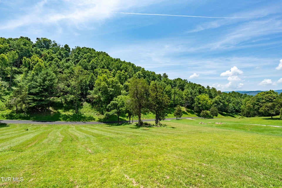 Photo #4: Lot #18 Vineyard Valley Drive