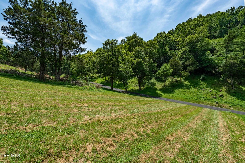 Photo #12: Lot #18 Vineyard Valley Drive