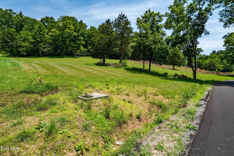 Photo #16: Lot #18 Vineyard Valley Drive
