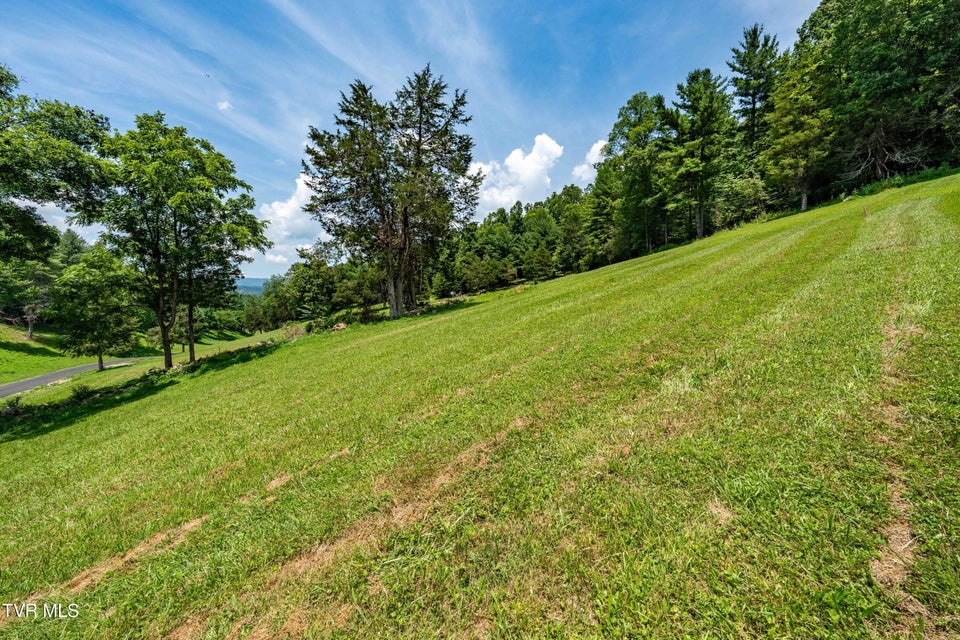 Photo #20: Lot #18 Vineyard Valley Drive