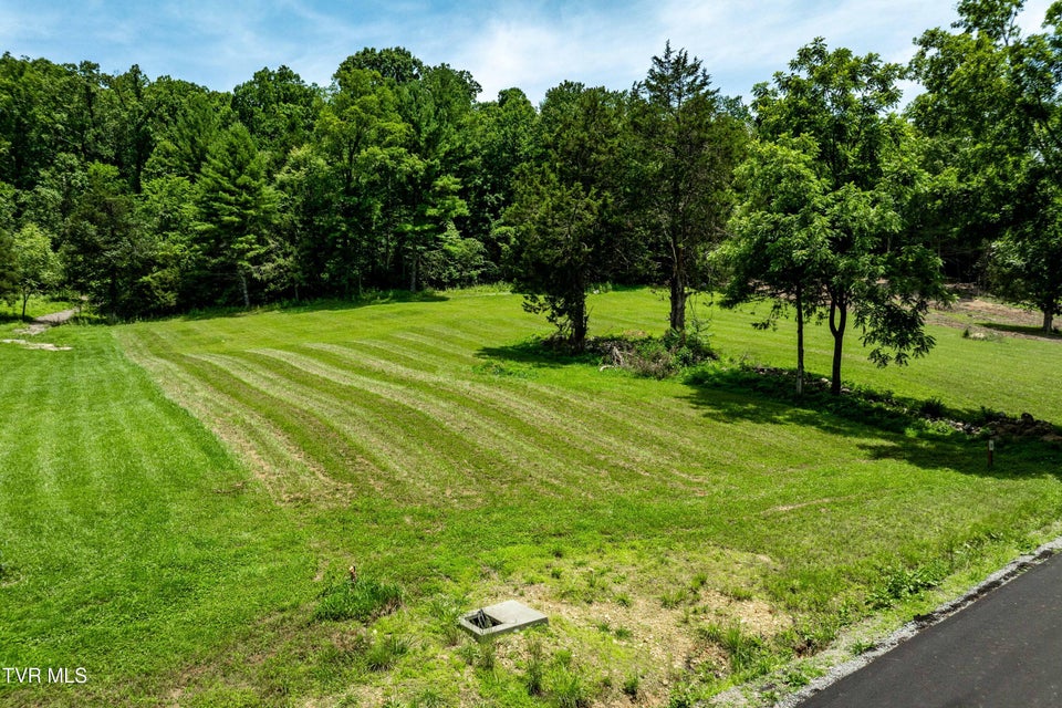 Photo #22: Lot #18 Vineyard Valley Drive