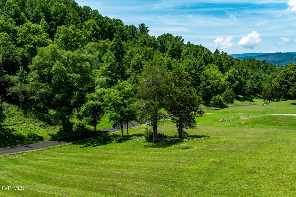 Photo #23: Lot #18 Vineyard Valley Drive