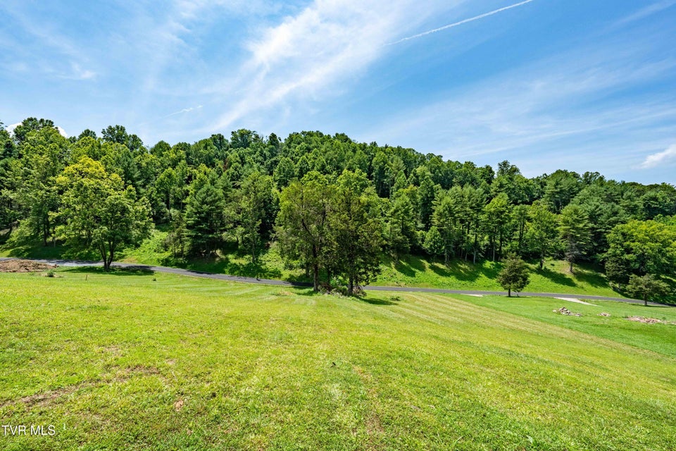 Photo #27: Lot #18 Vineyard Valley Drive