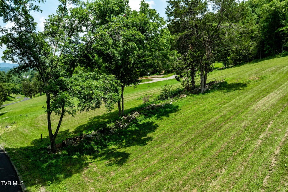Photo #28: Lot #18 Vineyard Valley Drive
