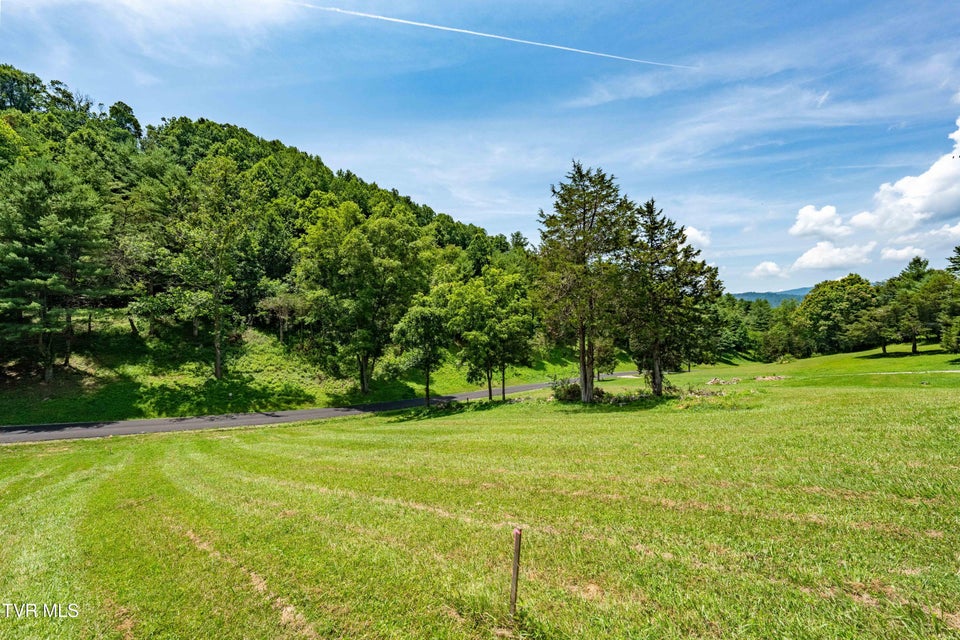 Photo #9: Lot #18 Vineyard Valley Drive