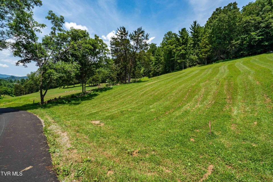 Photo #10: Lot #18 Vineyard Valley Drive