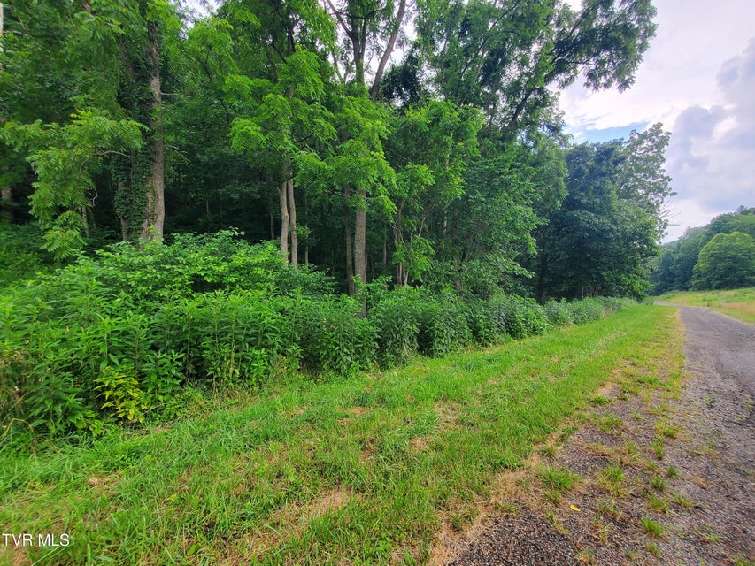 Photo #8: 35 Of Dry Hill Road