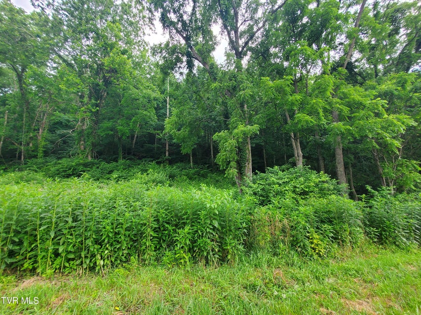 Photo #6: 35 Of Dry Hill Road
