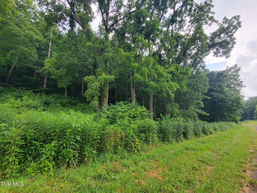 Photo #9: 35 Of Dry Hill Road