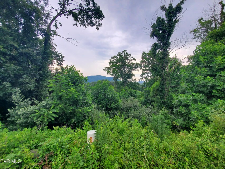 Photo #2: 35 Of Dry Hill Road