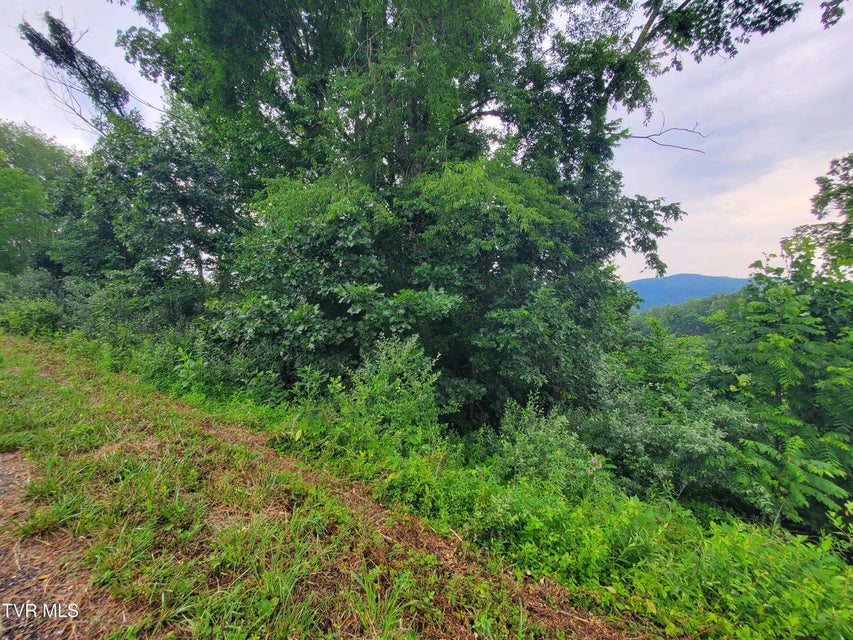 Photo #7: 35 Of Dry Hill Road