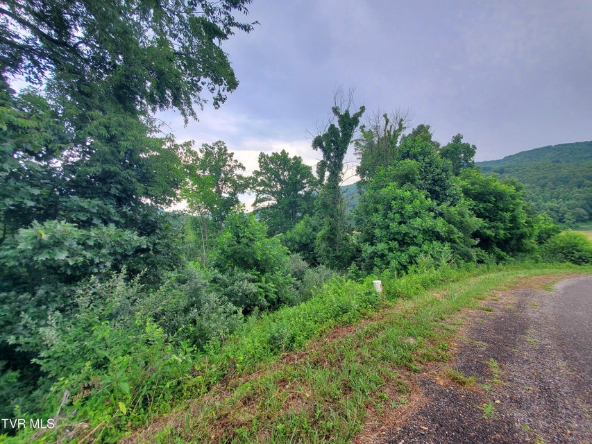 Photo #3: 35 Of Dry Hill Road