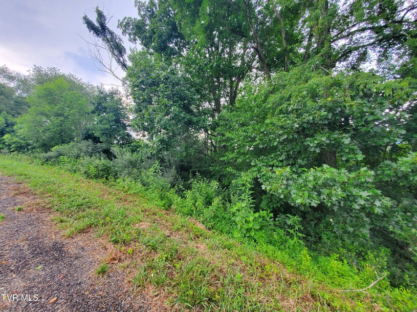 Photo #11: 35 Of Dry Hill Road
