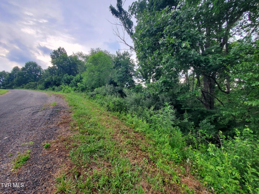 Photo #12: 35 Of Dry Hill Road