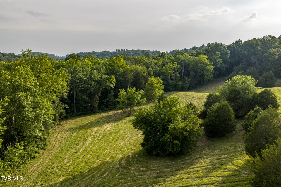 Photo #18: 999 Muddy Creek Road