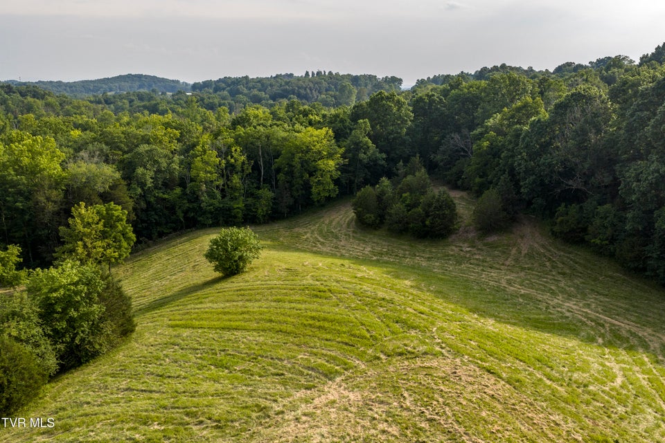 Photo #56: 999 Muddy Creek Road