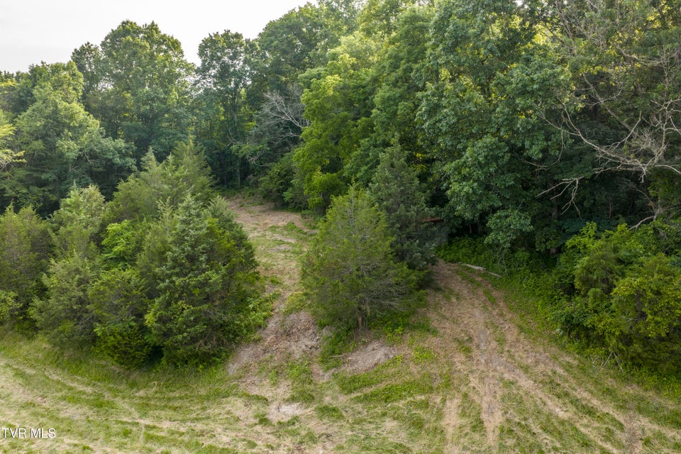Photo #59: 999 Muddy Creek Road