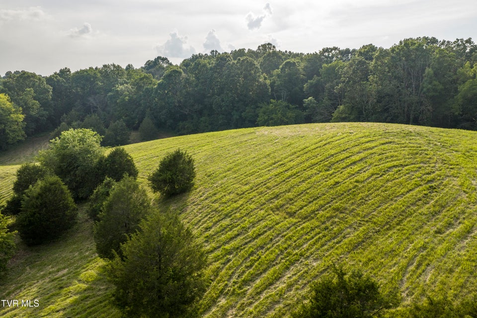 Photo #62: 999 Muddy Creek Road