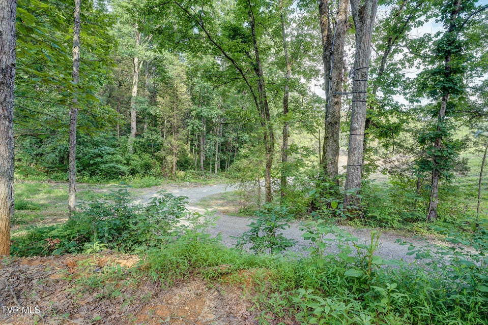 Photo #34: 999 Muddy Creek Road