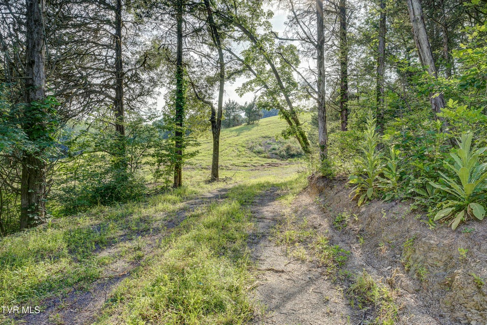 Photo #30: 999 Muddy Creek Road