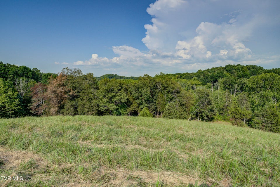 Photo #36: 999 Muddy Creek Road