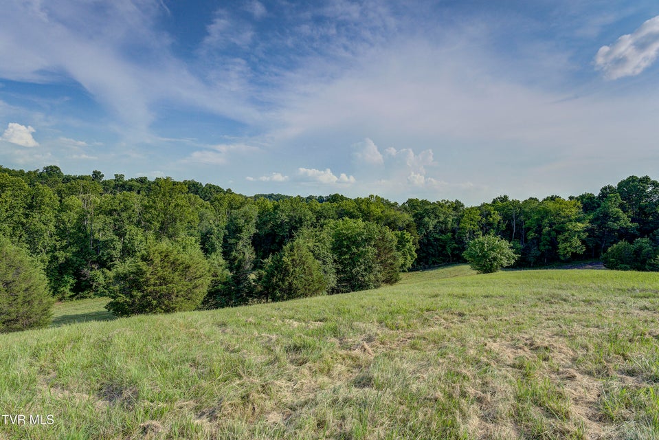 Photo #42: 999 Muddy Creek Road