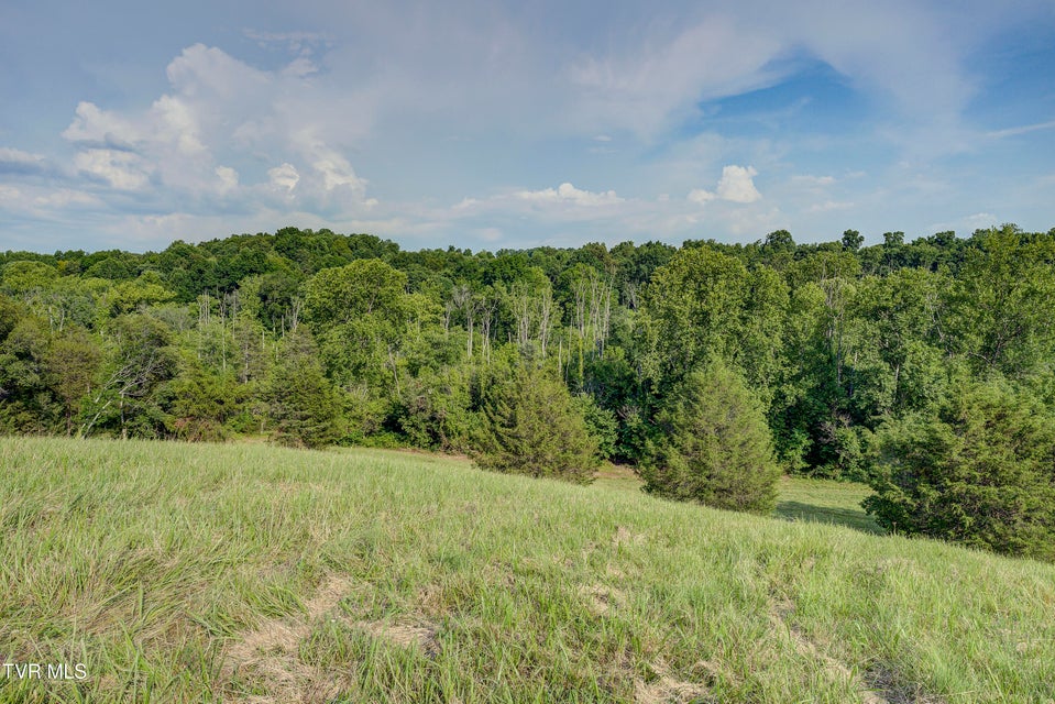 Photo #37: 999 Muddy Creek Road