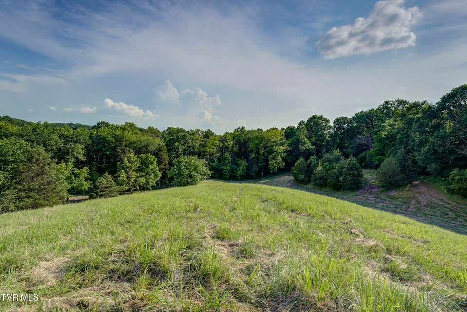 Photo #39: 999 Muddy Creek Road