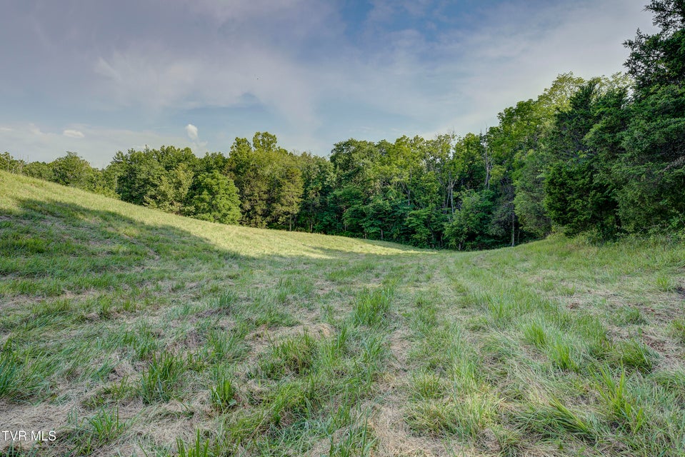 Photo #67: 999 Muddy Creek Road