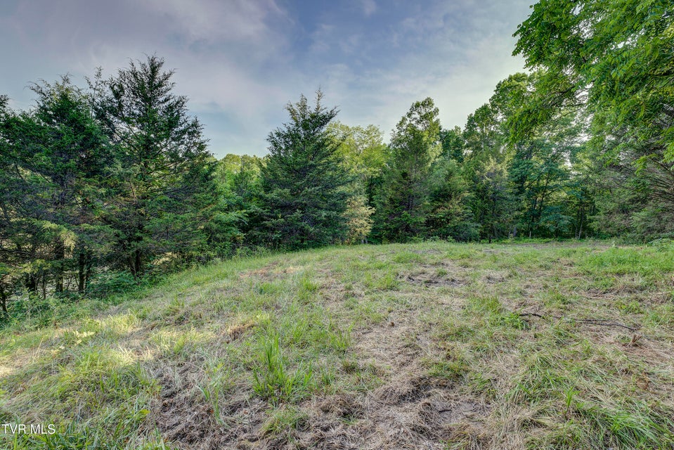 Photo #68: 999 Muddy Creek Road