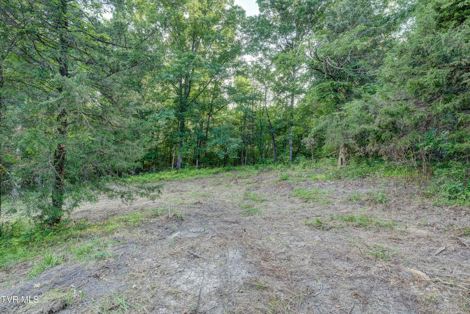 Photo #40: 999 Muddy Creek Road