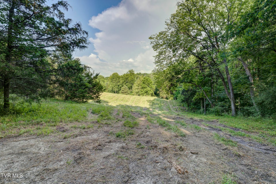 Photo #41: 999 Muddy Creek Road