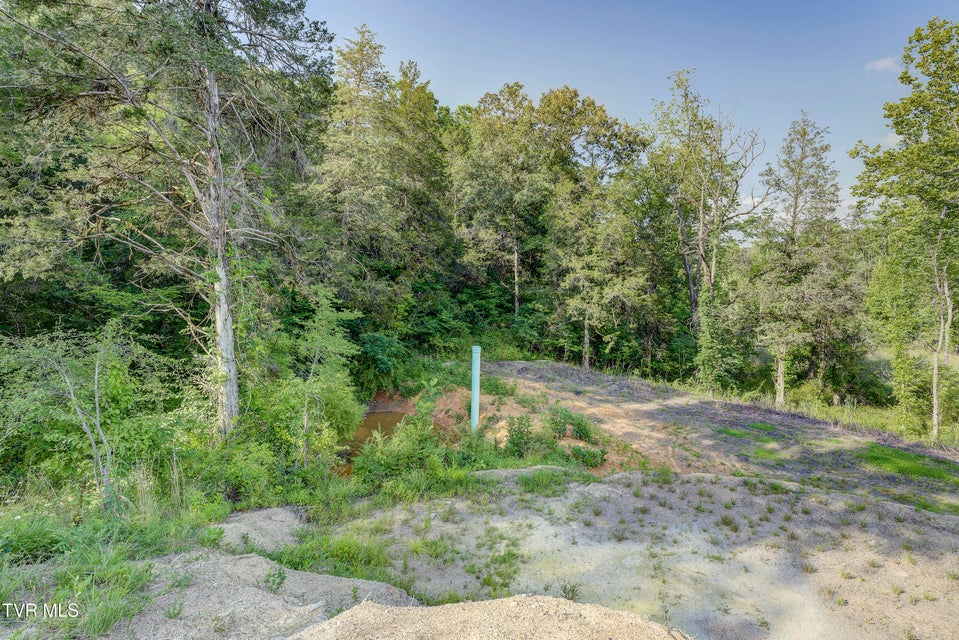 Photo #71: 999 Muddy Creek Road